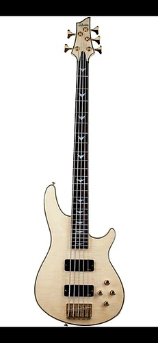 Schecter Omen Extreme 5 String.PNG