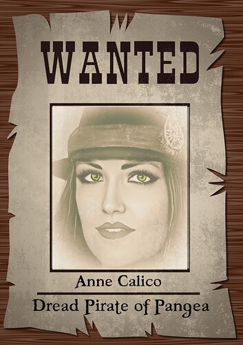 Wanted Poster (1) (1)