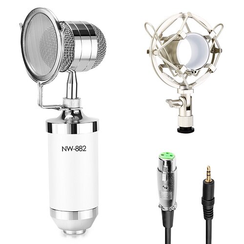 White Condenser Microphone 1